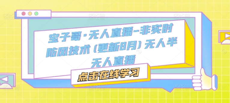 宝子哥·无人直播-非实时防风技术(更新25年5月)无人半无人直播-928资源网