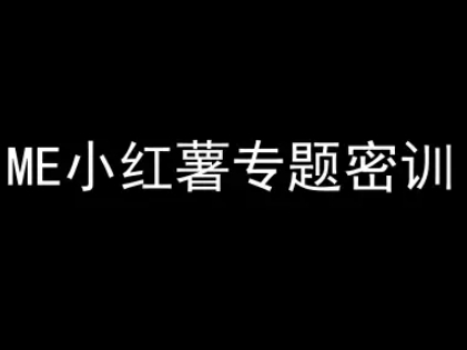 ME小红薯专题密训-小红书电商教程-928资源网
