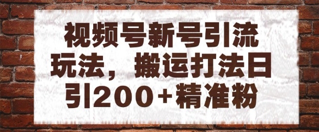 视频号新号引流玩法，搬运打法日引200+精准粉，可矩阵放大【揭秘】-928资源网