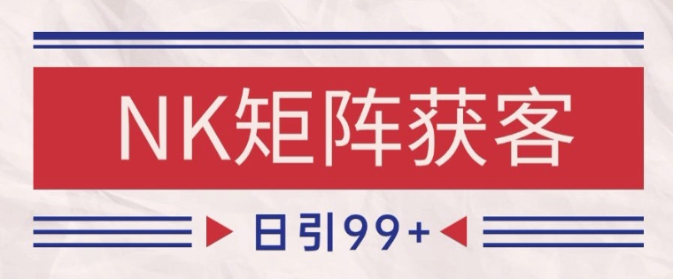 小红书某音NK赛道引流获客 自热矩阵日引200+【揭秘】-928资源网