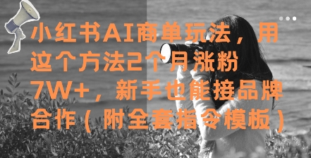 小红书AI商单玩法，用这个方法2个月涨粉7W+，新手也能接品牌合作(附全套指令模板)-928资源网