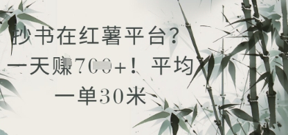 抄书在小红薯平台？平均一单30米，一天收益几张！-928资源网