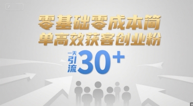 零基础零成本简单高效获客创业粉，一天引流30+-928资源网