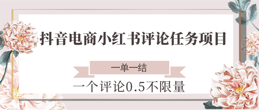 抖音电商小红书评论任务项目，一个评论0.5，一单一结 不限量-928资源网