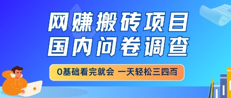 网创搬砖项目，国内问卷调查，小白轻松上手，一天三四张的也不难，干就完了【揭秘】-928资源网
