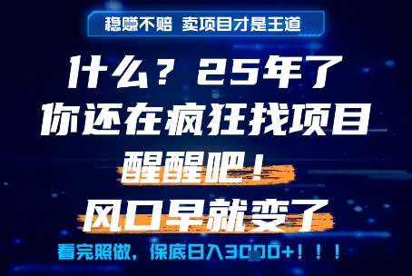 什么？25年你还在疯狂找项目做，醒醒吧，看完这些你全都懂了！【揭秘】-928资源网