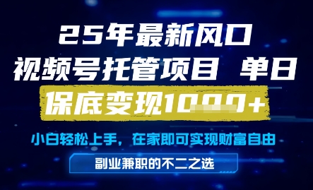 25年最新风口，视频号托管项目，单日保底变现1k+，手把手教学【揭秘】-928资源网