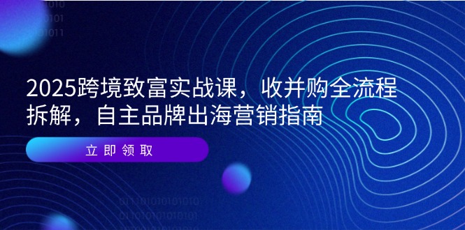 2025跨境致富实战课，收并购全流程拆解，自主品牌出海营销指南-928资源网