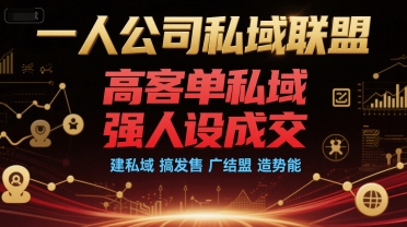 一人公司私域联盟，高客单私域，强人设成交，建私域 搞发售 广结盟 造势能-928资源网