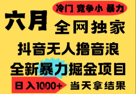 25年6月高爆抖音无人直播最新撸音浪掘金项目，小白可做，无脑日入1k+，门槛低可批量矩阵【揭秘】-928资源网