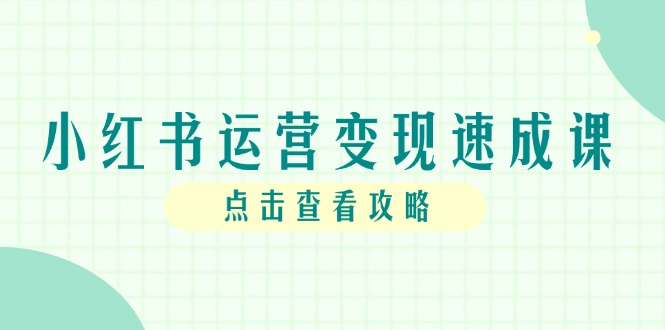 小红书运营变现速成课，账号搭建到暴力起号，个人IP全流程指南-928资源网