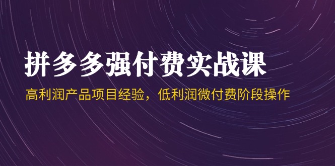 拼多多强付费实战课-44期，高利润产品项目经验，低利润微付费阶段操作-928资源网