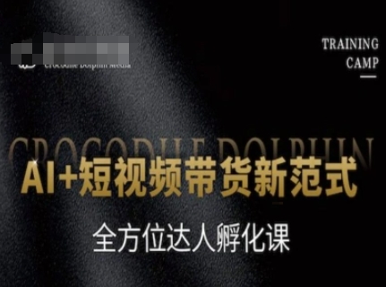 AI+短视频带货新范式，全方位达人孵化课-928资源网