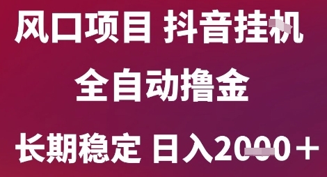 风口项目，六月最新玩法抖音无人挂G，全自动撸金，长期稳定 日入2k+【揭秘】-928资源网