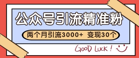 公众号精准粉引流玩法，2个月3000+精准粉，变现30个W【揭秘】-928资源网