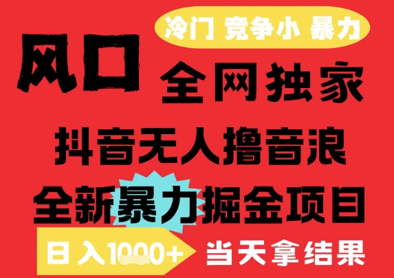 25年6月高爆抖音无人直播最新撸音浪掘金项目，解放双手小白可做，无脑日入1k+，门槛低【揭秘】-928资源网