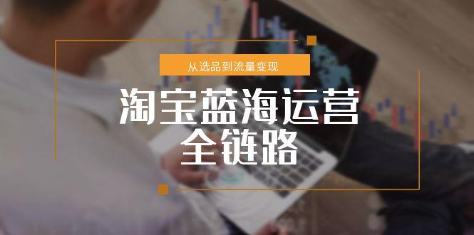 淘宝蓝海运营全链路，从选品到流量变现，小类目突围完整方案-928资源网