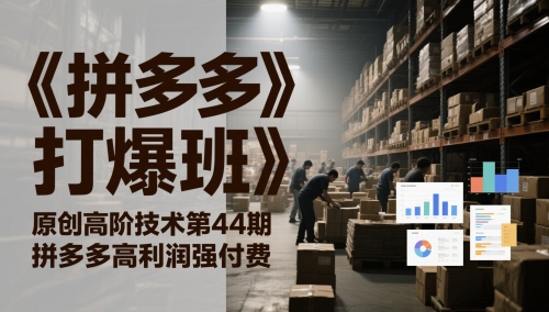 《拼多多打爆班》原创高阶技术第44期，拼多多高利润强付费-928资源网