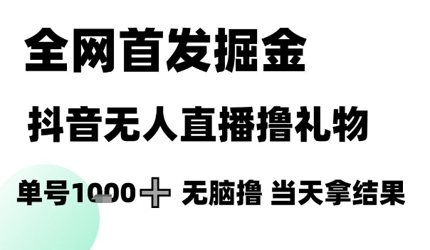 全网首发掘金抖音无人直播撸礼物，单号1k +无脑撸，当天拿结果【揭秘】-928资源网