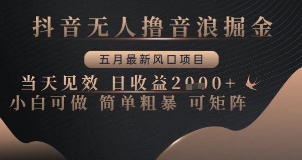 抖音无人撸音浪掘金，五月最新风口项目，当天见效，日收益多张，小白可做简单粗暴可矩阵【揭秘】-928资源网