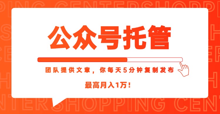 【公众号托管 】我提供文章，你每天５分钟复制发布，最高月入1W-928资源网