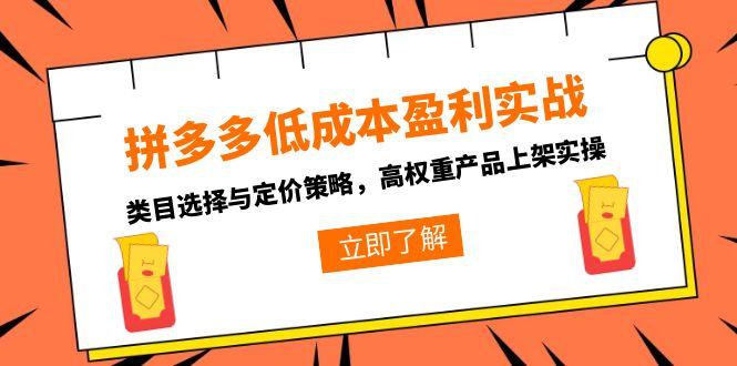 拼多多低成本盈利实战，类目选择与定价策略，高权重产品上架实操-928资源网