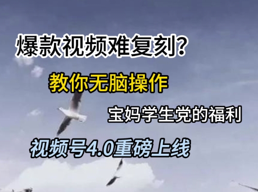 视频号4.0重磅上线，爆款视频难复刻？教你无脑操作宝妈学生党的福利【揭秘】-928资源网