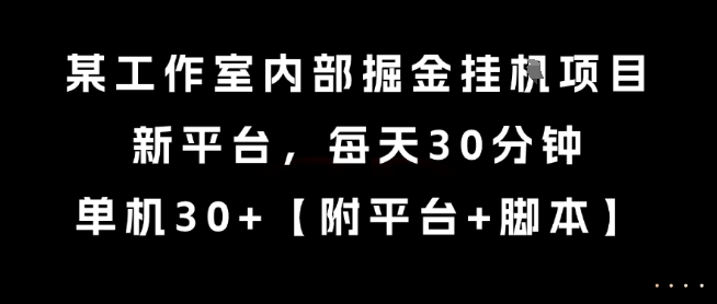 某工作室内部掘金挂G项目，新平台，每天30分钟，单机30+【揭秘】-928资源网