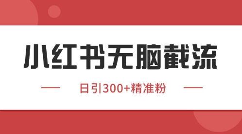 小红书只要你有同行就能获客，独家野路子获客玩法，暴力截流【揭秘】-928资源网