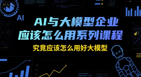 AI与大模型企业应该怎么用系列课程，究竟应该怎么用好大模型-928资源网