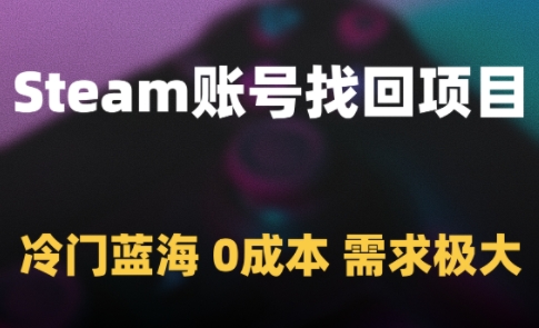 Steam账号找回项目，冷门蓝海，0成本，需求极大-928资源网