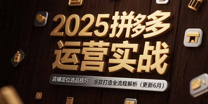 2025拼多多运营实战：店铺定位选品技巧，爆款打造全流程解析(更新6月-928资源网