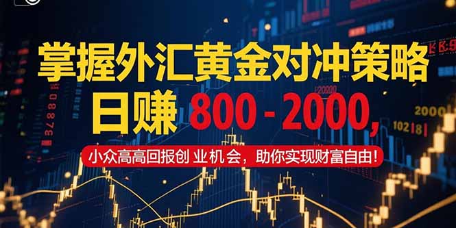 掌握外汇黄金对冲策略，日赚 800 – 2000，小众高回报创业机会，助你实…-928资源网