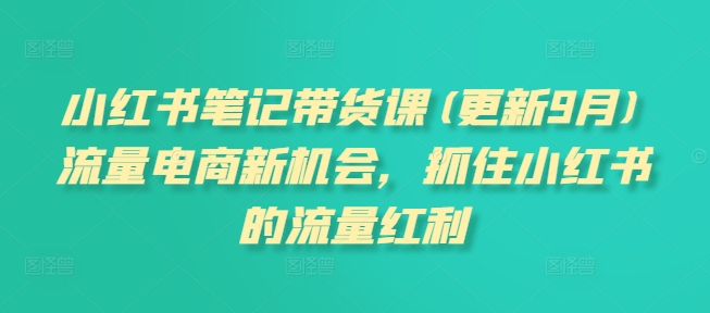 小红书笔记带货课(更新25年5月)流量电商新机会，抓住小红书的流量红利-928资源网