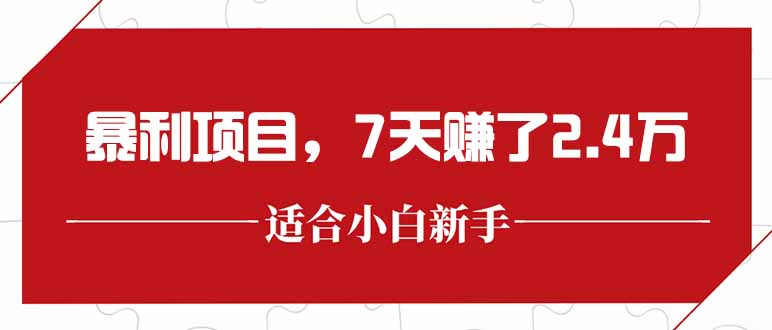 最新暴利项目，每单收益轻松在300以上，7天赚了2.4万-928资源网