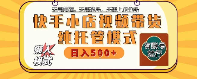 快手小店托管代运营，无需剪辑，无需选品，无需上传作品，全程无需操作，轻松月入5k+【揭秘】-928资源网