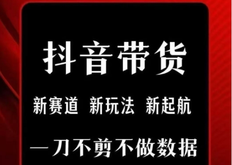 抖音短视频一刀不剪带货，不剪辑，不直播，每天发个视频，等着出单获取带货佣金-928资源网