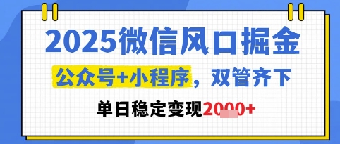 2025微信风口掘金，公众号+小程序双管齐下，单日稳定变现1k+【揭秘】-928资源网