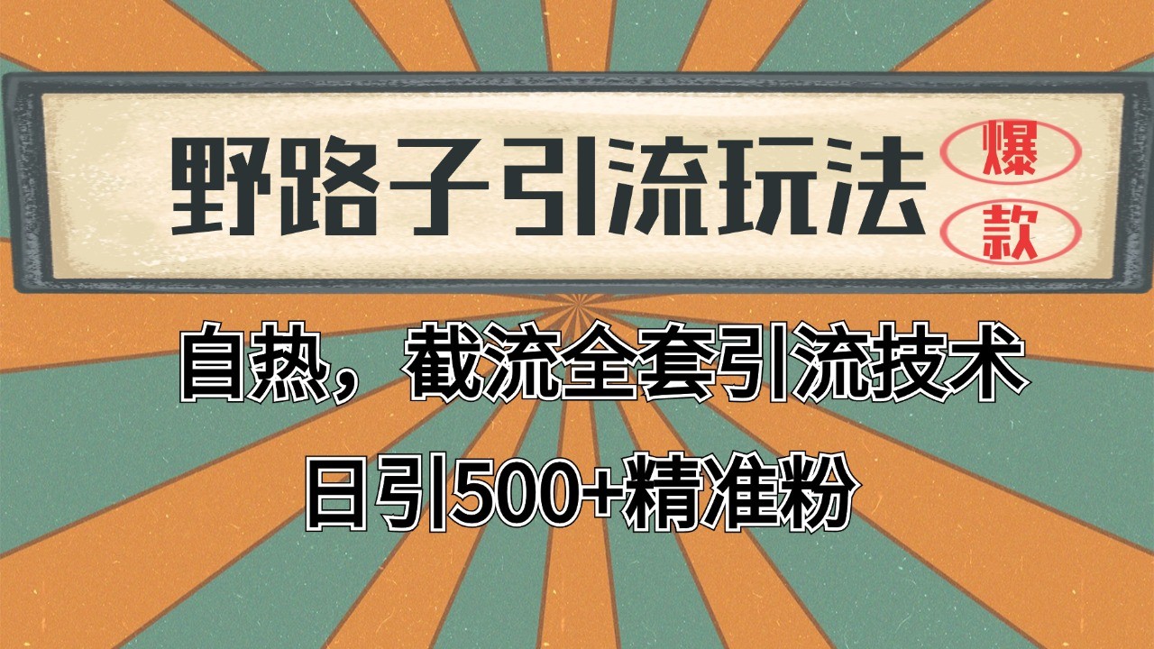 2024首发野路子引流玩法截流自热全平台打法，全自动引流【日引2000+精准客户】-928资源网