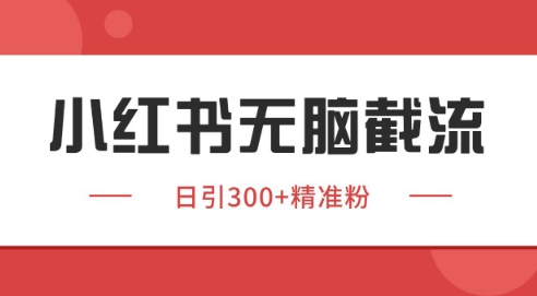 小红书截流同行客源，独家野路子获客玩法 日引200+暴力获客【揭秘】-928资源网