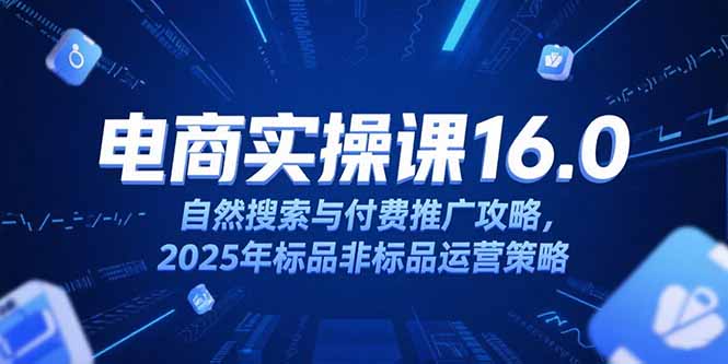 淘宝电商运营课16.0，自然搜索与付费推广攻略，2025年标品非标品运营策略-928资源网