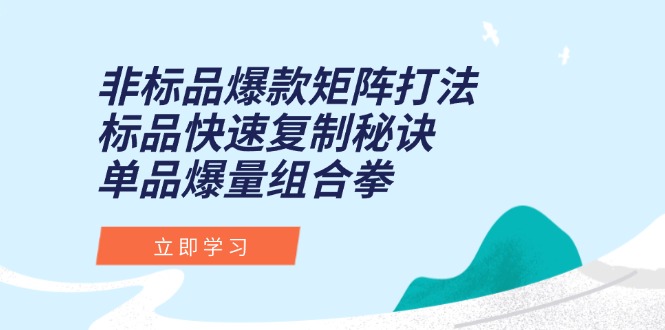 非标品爆款矩阵打法，标品快速复制秘诀，单品爆量组合拳-928资源网