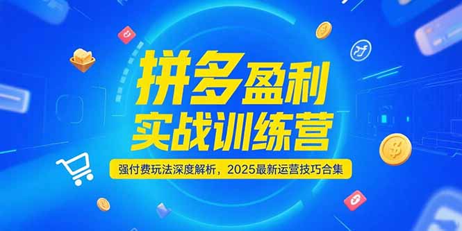 拼多多盈利实战训练营，强付费玩法深度解析，2025运营技巧合集-更新6月-928资源网