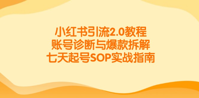 小红书引流2.0教程，账号诊断与爆款拆解，七天起号SOP实战指南-928资源网