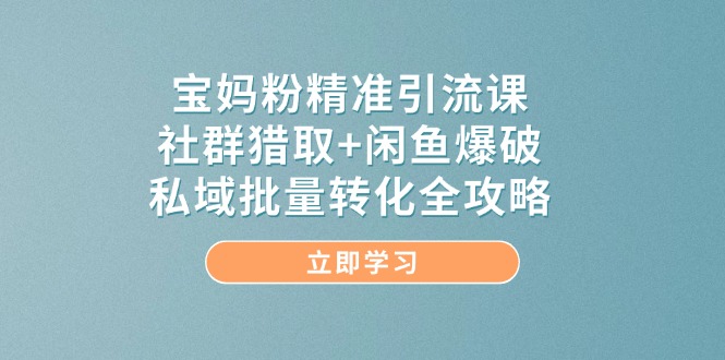 宝妈粉精准引流课，社群猎取+闲鱼爆破，私域批量转化全攻略-928资源网