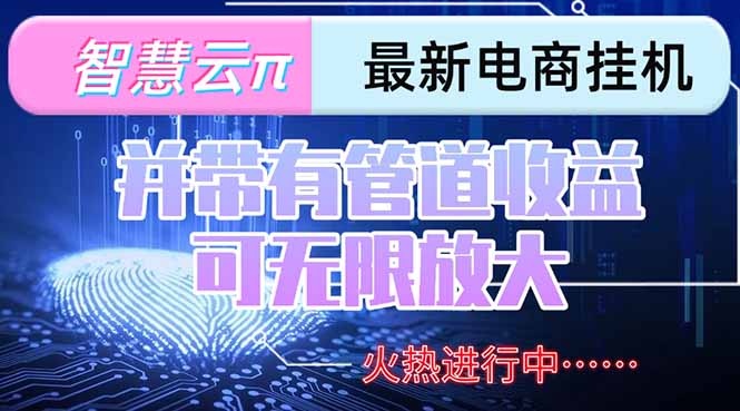 智慧云π电脑挂机单机每天收益300—500+ 并带有团队管道收益 可无限放大-928资源网