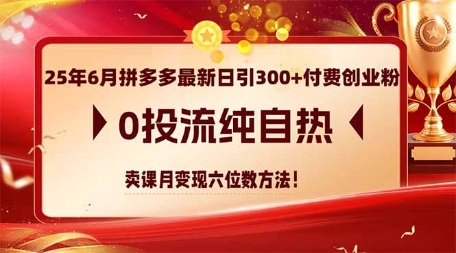 25年6月拼多多最新日引300+付费创业粉，0投流纯自热 卖课月变现六位数方法-928资源网