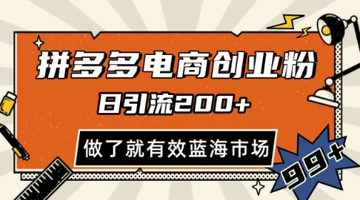 拼多多引流电商创业粉，日引200+，可矩阵放大，做了就有效【揭秘】-928资源网