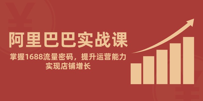 阿里巴巴实战课：掌握1688流量密码，提升运营能力，实现店铺增长-928资源网