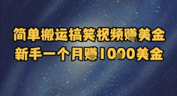 简单搬运搞笑视频挣美金，新手一个月入1k美金-928资源网